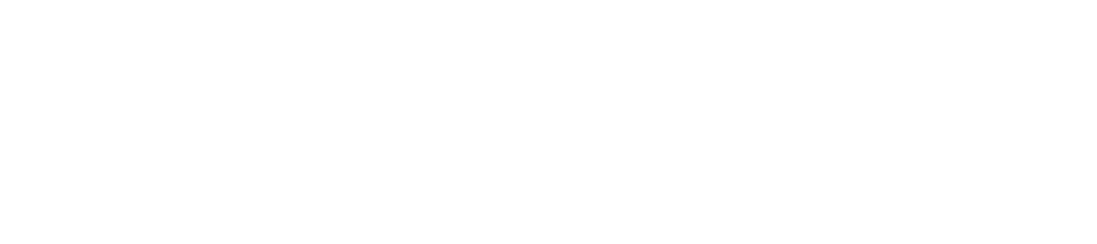 Phenyx Logo